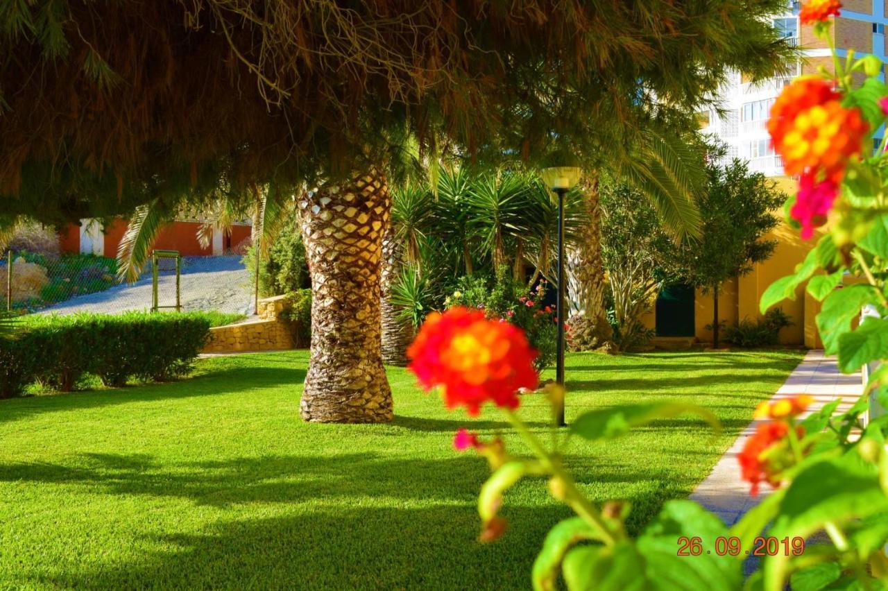 Bungalo En Primera Linea De La Playa El Campello Exterior foto